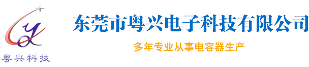 安規電容器